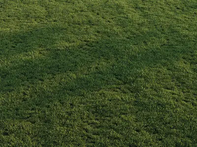 Cut grass for landscape 3D model