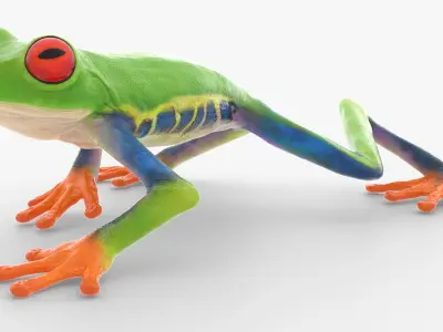  Red Eyed Tree Frog Animated Rigged for Blender Collection 
