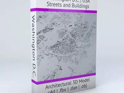 Washington DC Streets and Buildings 3D model