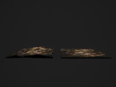 La Madone aux Roses Tapestry Low-poly 3D model