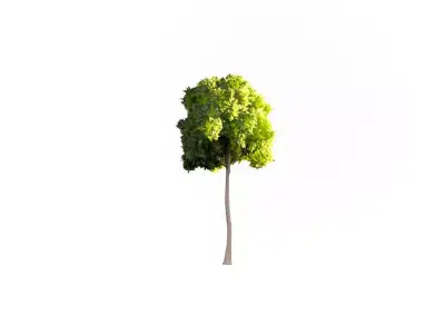 Low Poly Tree Stylish Low-poly 3D model