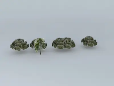 Trees on my street Free 3D model