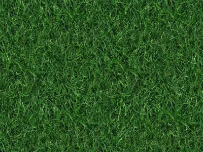 Photorealistic Grass Texture Texture