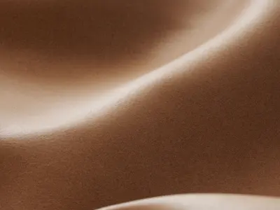 Natural leather 02 Texture