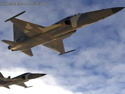  Camouflaged Military Fighter Jet without Rockets 