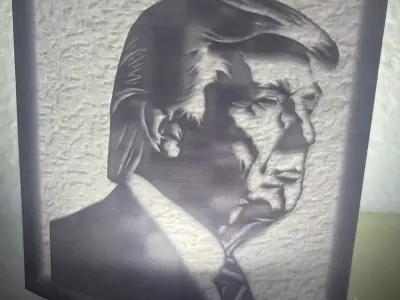 Trump Night Light 3D print model