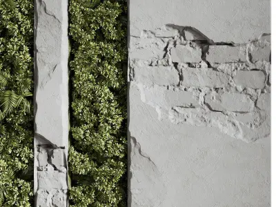 Wall with plant 08 3D model