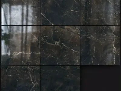 Yurtbay Seramik Carelia Black 600x600 Set 2 3D model