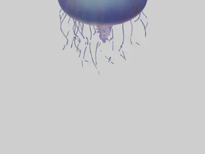 Jellyfish floating model Low-poly 3D model