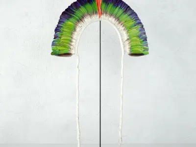 Brazilian Tribal Feather Headdress Collection 3D Model Pack