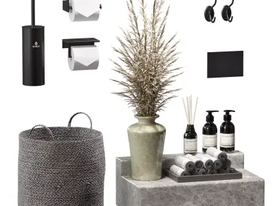 Bathroom Set With A Dried Bouquet 3D model