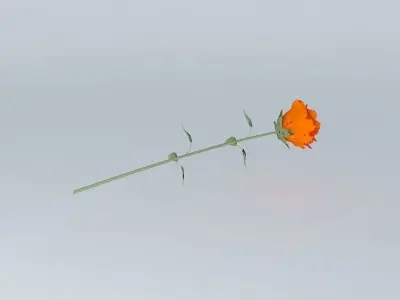 Single Rose Flower Free 3D model
