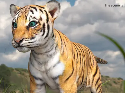  Tiger Cub Rigged for Cinema 4D 