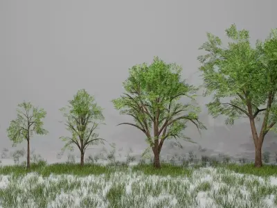 Trees group of in grass Low-poly 3D model