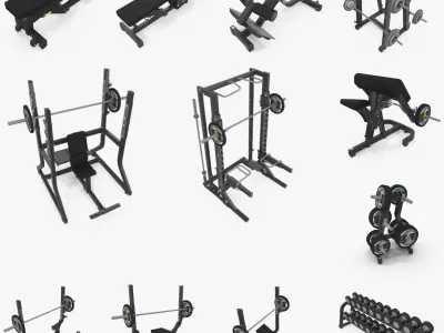  125 models Gyms Full set, TechnoGym: Cardio - Strength - Free Weight - Fitness Tools 