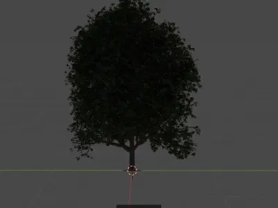 Tree collection 3D Model Pack