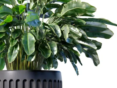 Decorative fern in a modern black vase pot flowerpot 3D model