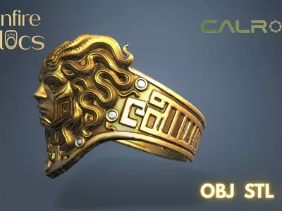 Calrith Ring  3D print model
