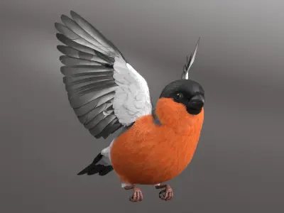  Bullfinch Male Bird Flying Animated Rigged For Maya 