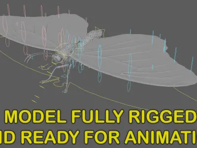  Blue Morpho Butterfly Animated 