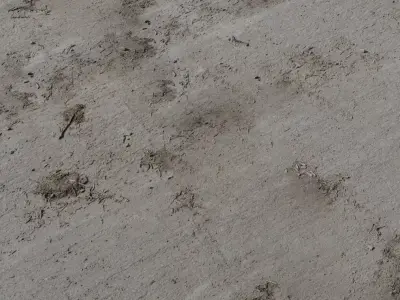 Dirty Dusty Rough Concrete Floor PBR Texture Texture