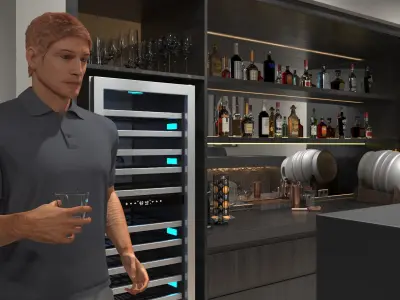  Party in Private Home Bar 