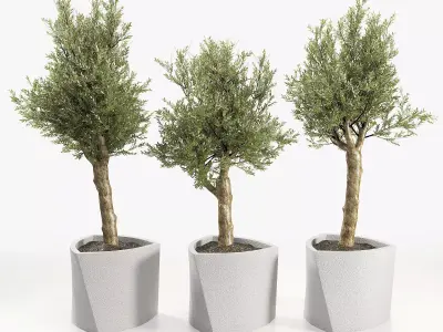 BILBAO BY JOSEP MUXART 3D model