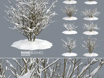  Bushes and Shrubs Collection 