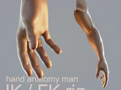 dark skin hand anatomy man 3D model