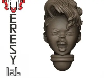 Heresylab - Female Sci-Fi heads for conversions SET 13 of 21 3D print model