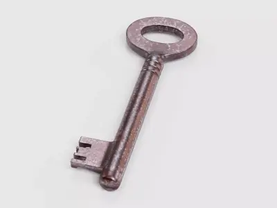 Key V3 - Rusty Hollow Barrel Skeleton Key 3D model