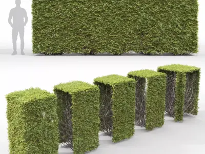 Thuja occidentalis hedge 03 3D model