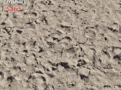Ultra realistic Sand Scan 3D model