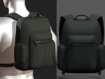 Backpack bag baggage Color 3d low poly Low-poly  Low-poly 3D model order