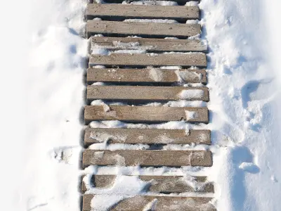 Ultra realistic Snow wooden trail 3D model