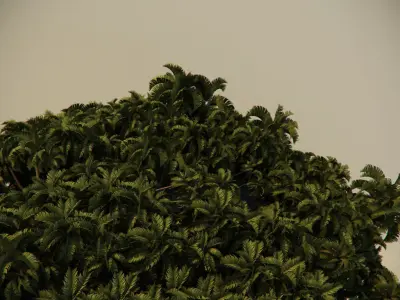 Thailand Rock 3 3D model