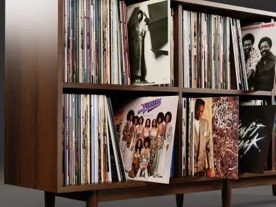 Vinyl Storage No54 3D model