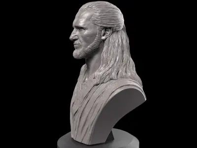 Liam Neeson - Qui-Gon Jinn Bust 3D print model