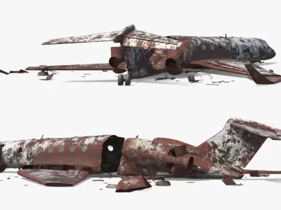  Rusty Business Jet Wreckage Crashed 
