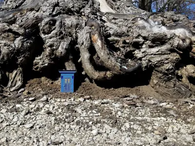 Once Upon A Time Magic Door 3D print model