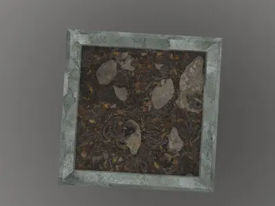 Tree Base Free low-poly 3D model