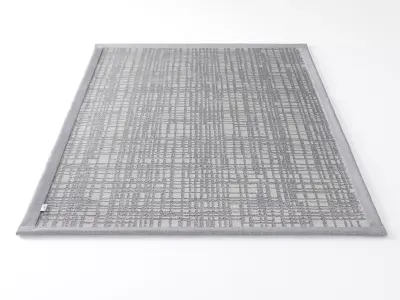 Graficule checkered rug 3D model