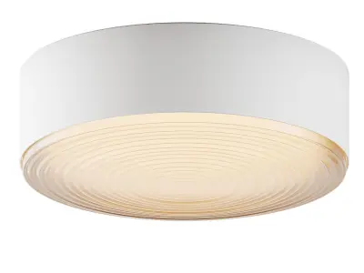 RADIEUX Ceiling lamp from Re-Volt 3D model