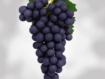 Grapes Black and Blue Low-poly 3D model
