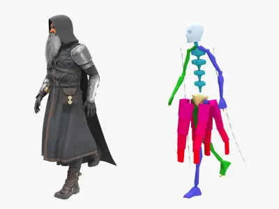  Hooded Wizard with Crystal Staff Standing Rigged 