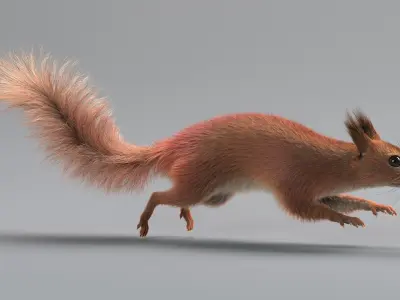  Squirrel Rigged Xgen 