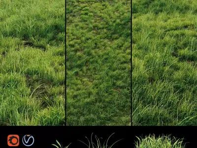 Grass for landscaping exterior  3D model
