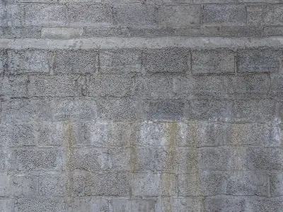stucco 531 Texture