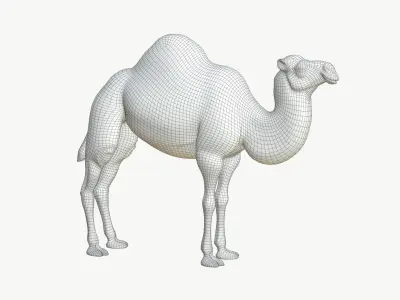  Realistic 3D Camel Model Game-Ready 