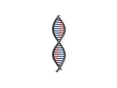 DNA Molecule v1 008 Low-poly 3D model